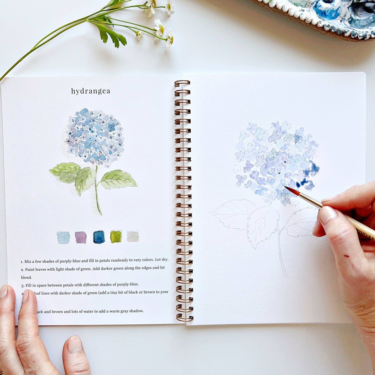 Watercolor workbook - Flowers