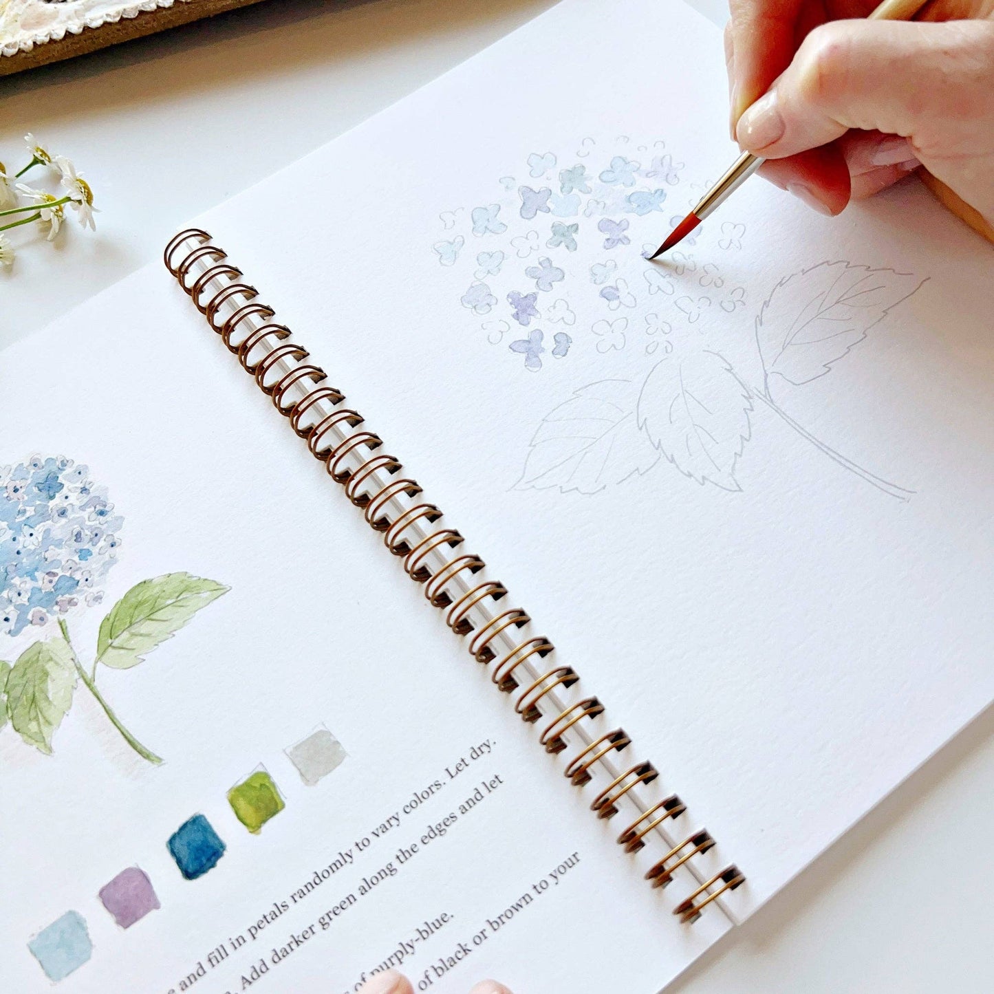 Watercolor workbook - Flowers