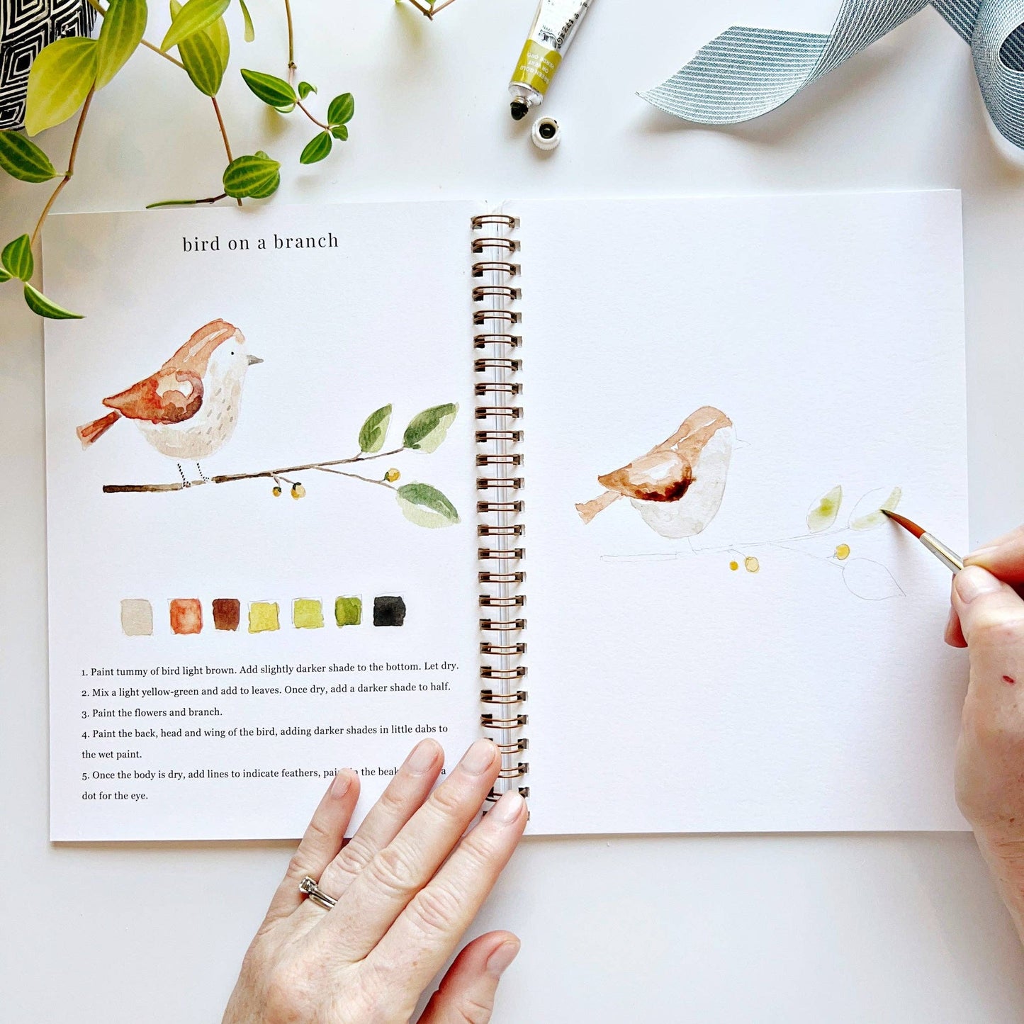 Watercolor workbook - Animals