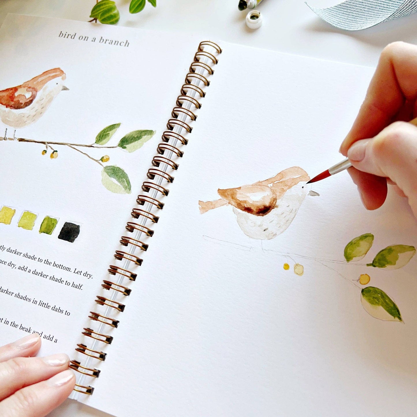 Watercolor workbook - Animals
