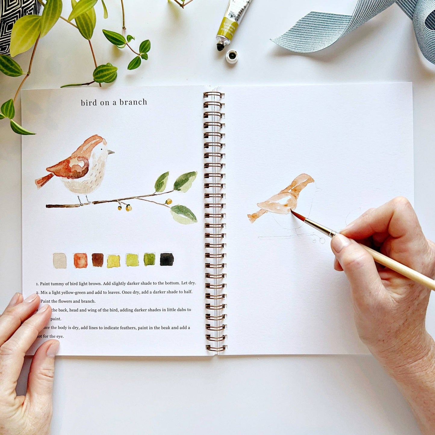 Watercolor workbook - Animals