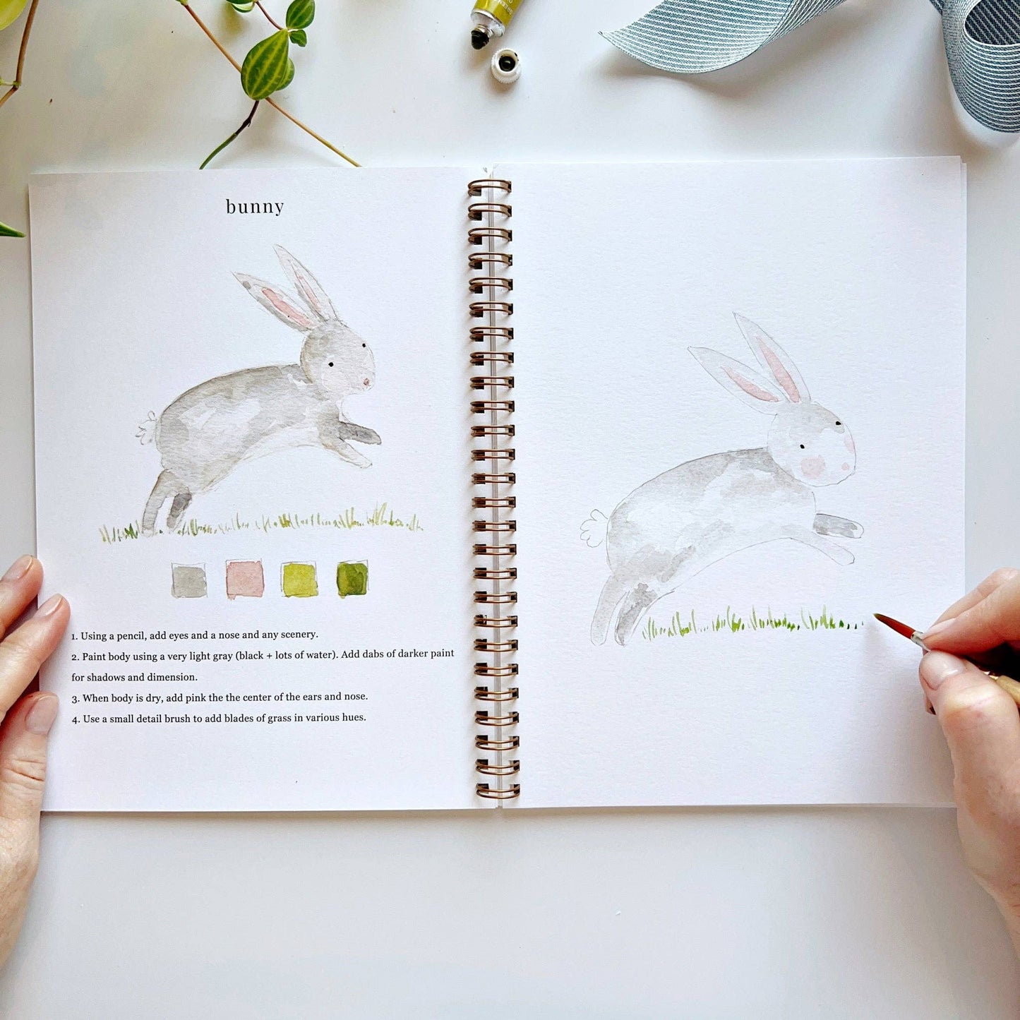Watercolor workbook - Animals