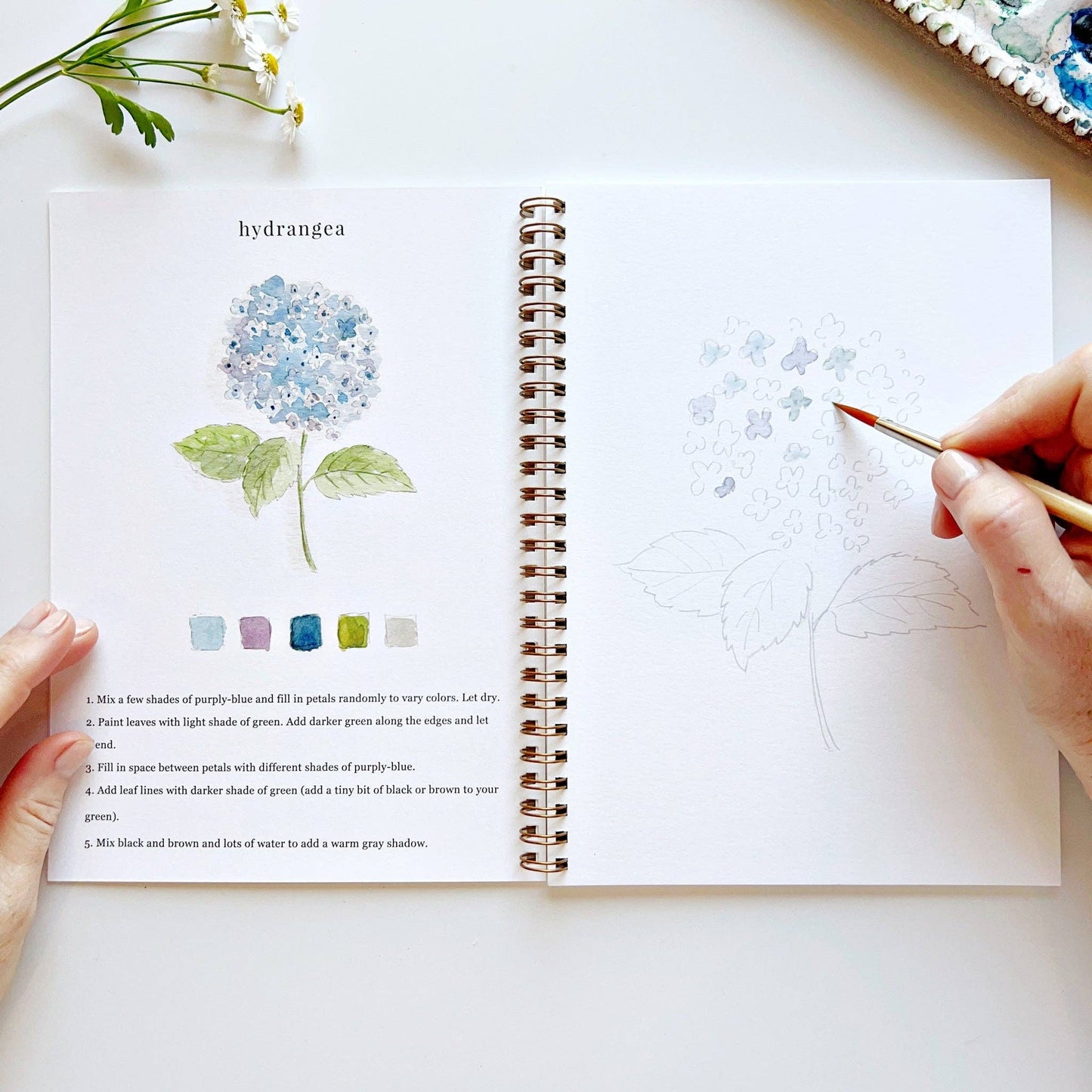 Watercolor workbook - Flowers