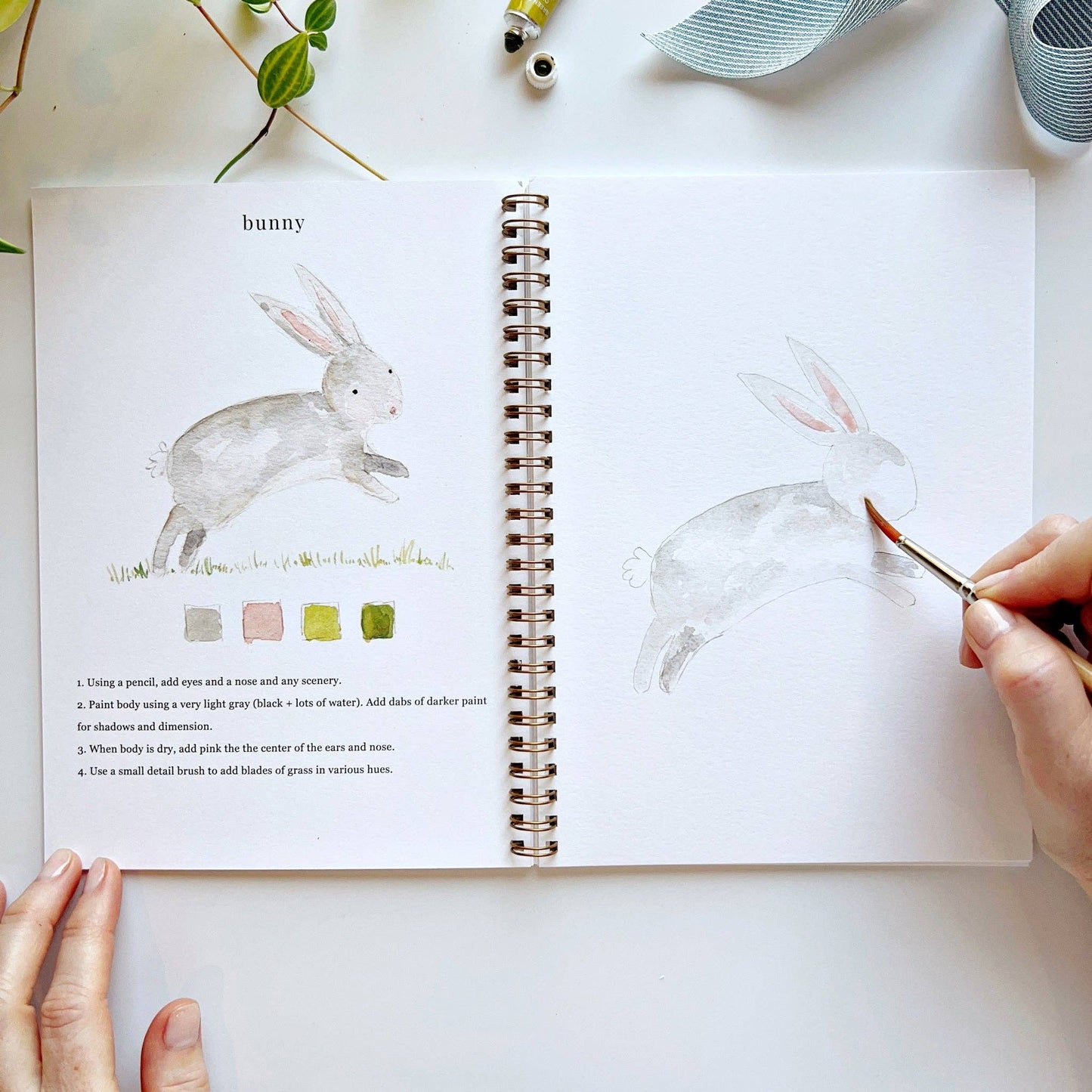 Watercolor workbook - Animals